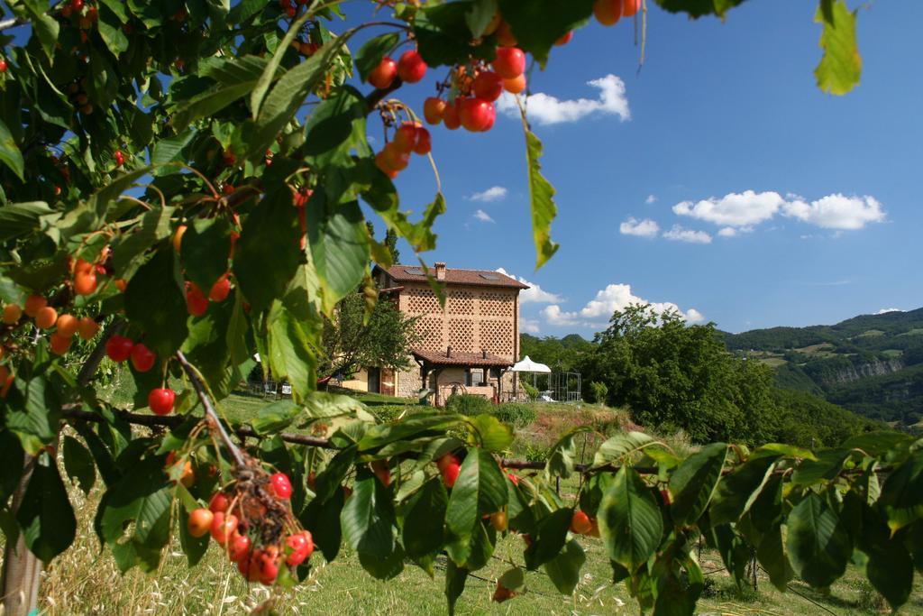 B&B Al Merlo Angelico Pellegrino Parmense Buitenkant foto